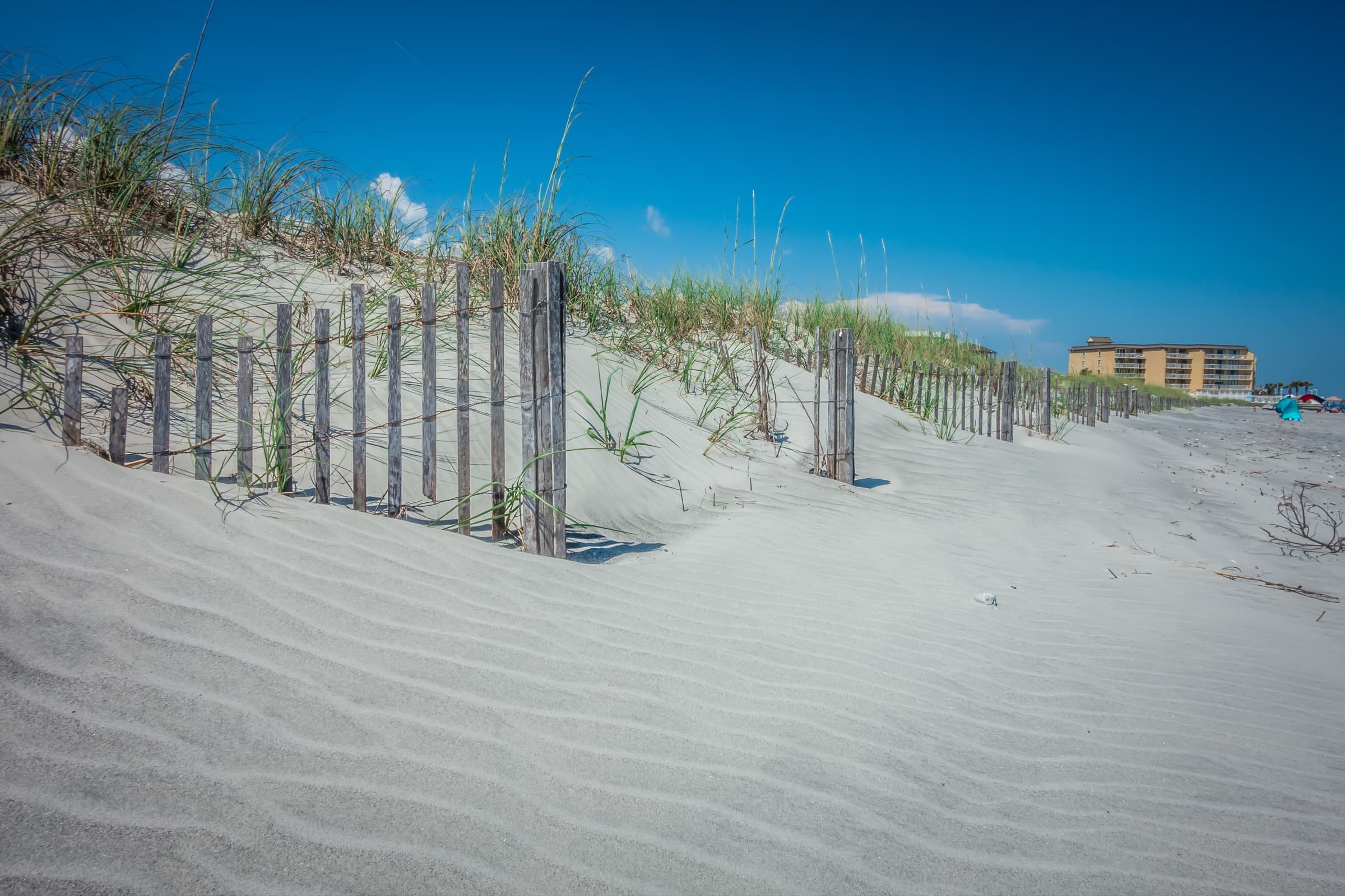 Sand fence and sea oats on the dunes at Folly Beach